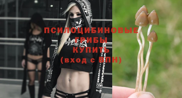 гашик Няндома