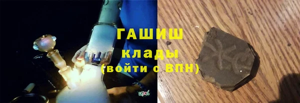 гашик Няндома