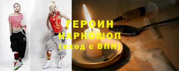 гашик Няндома