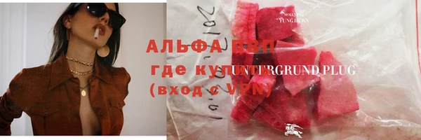 гашик Няндома