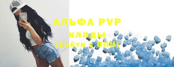 гашик Няндома