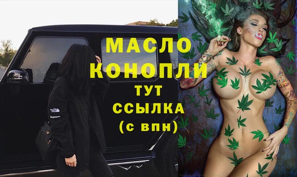 гашик Няндома
