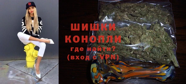 гашик Няндома